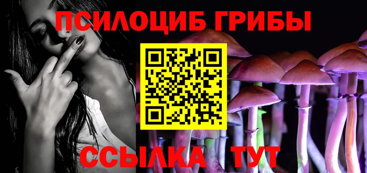 Луга  Псилоцибиновые грибы мухоморы  Вход с VPN 